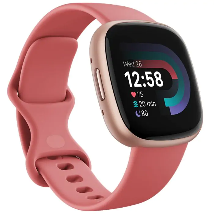 Fitbit versa online