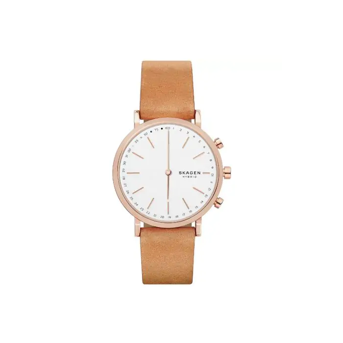 Skagen hald hot sale connected